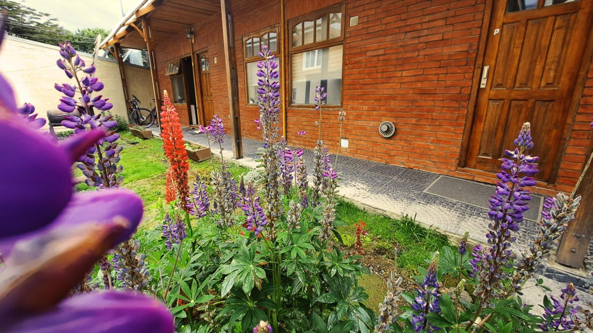 Apartament Terrazas Del Sur Ushuaia Zewnętrze zdjęcie